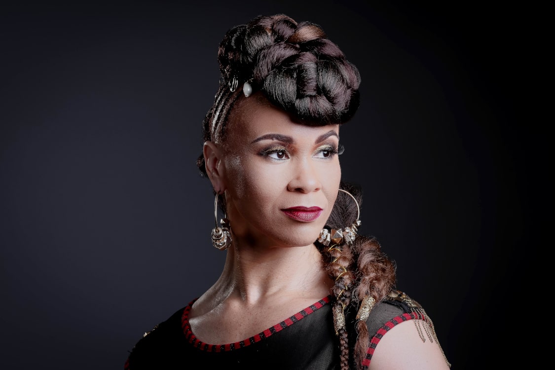 natural hair styles, natural hairstyles, braided hairstyles